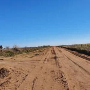 GENERAL PINTO 1800 HAS GANADERAS