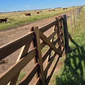 VILLEGAS 300 HAS MIXTAS